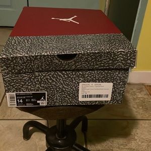 Air Jordan 3 retro